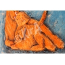 Wasbeurt 3D